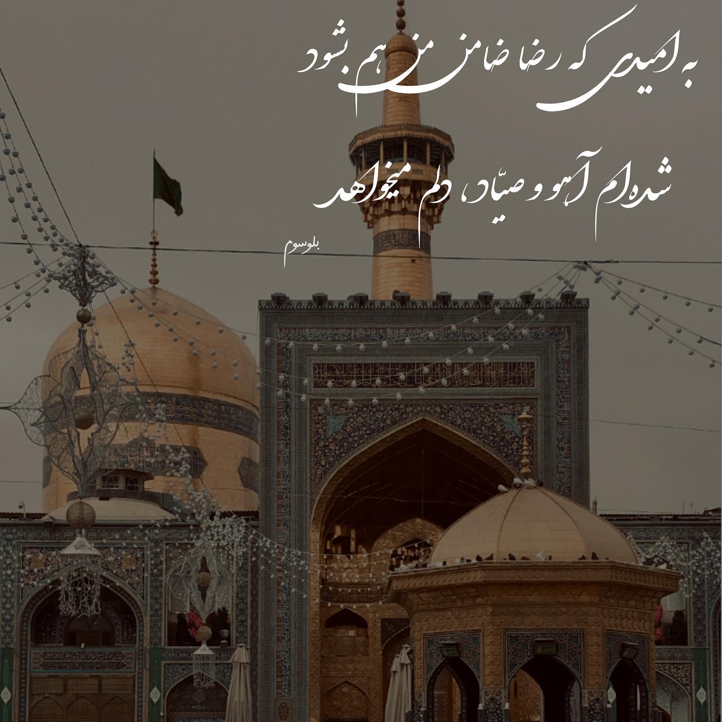 عکس تولد امام رضا