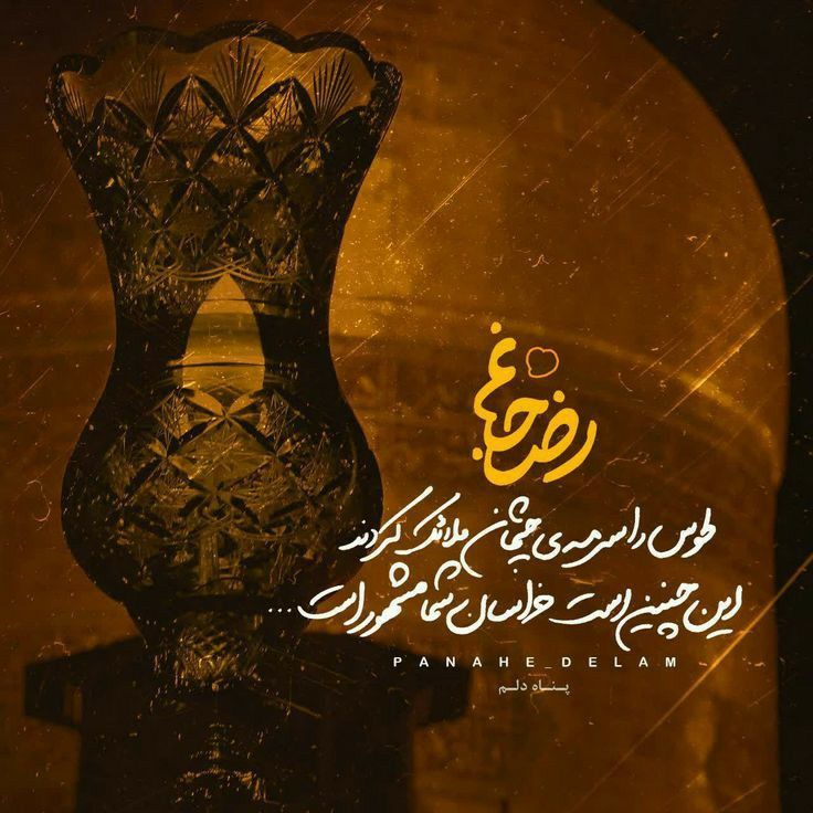 عکس تولد امام رضا