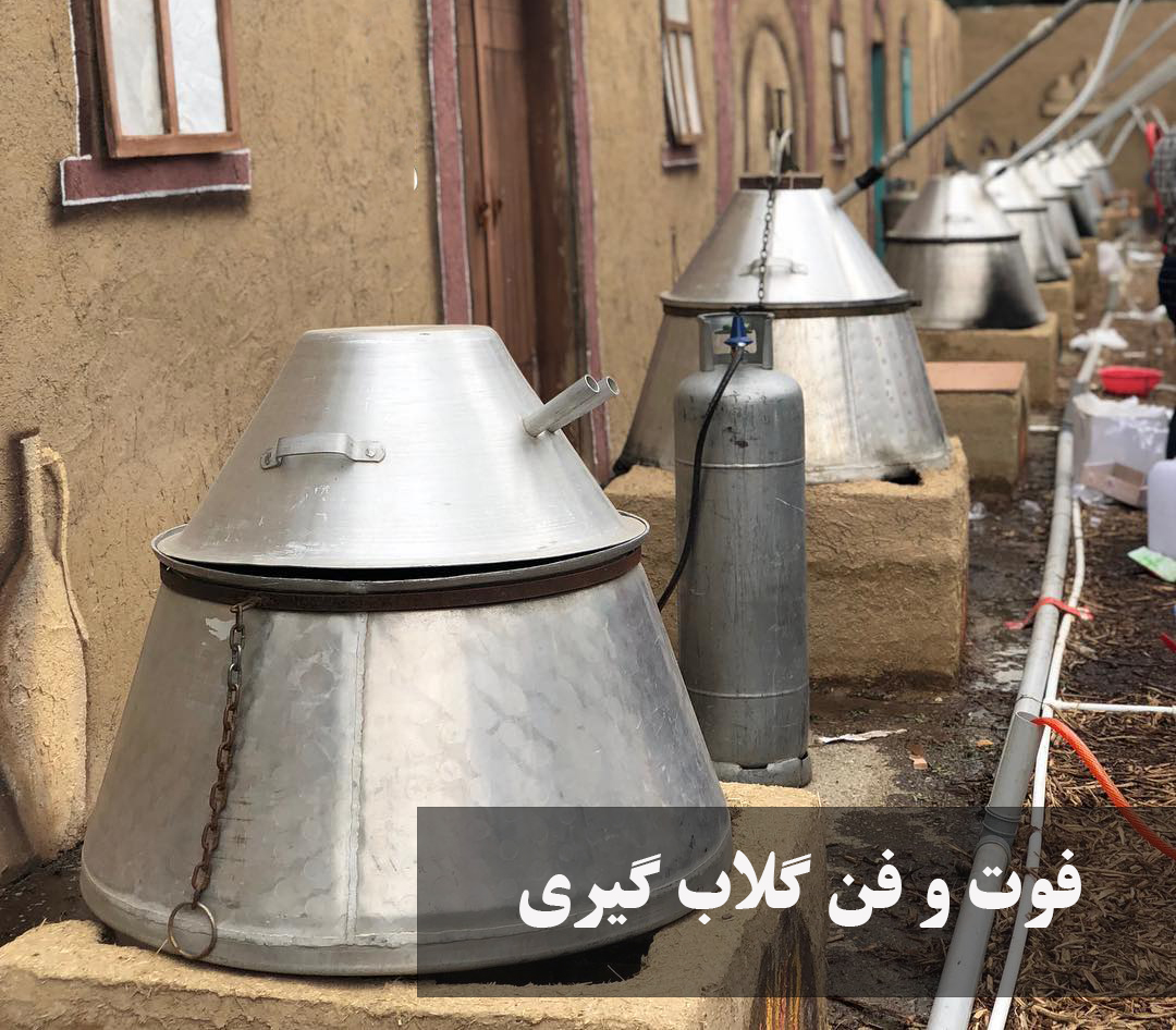فوت و فن گلاب گیری