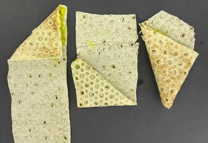 طرز پیچیدن سمبوسه با عکس