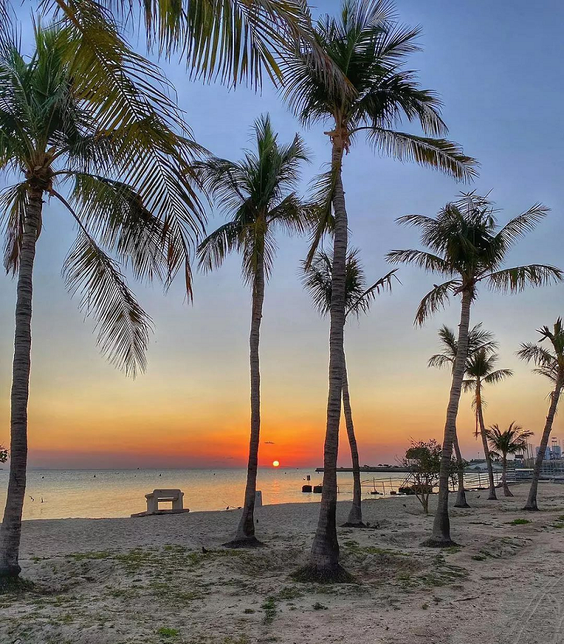 پارک درختان نارگیل کیش