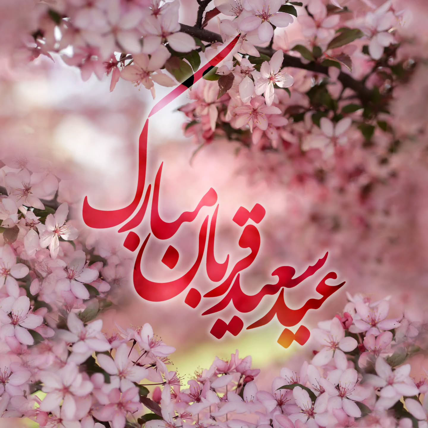 عکس تبریک عید قربان