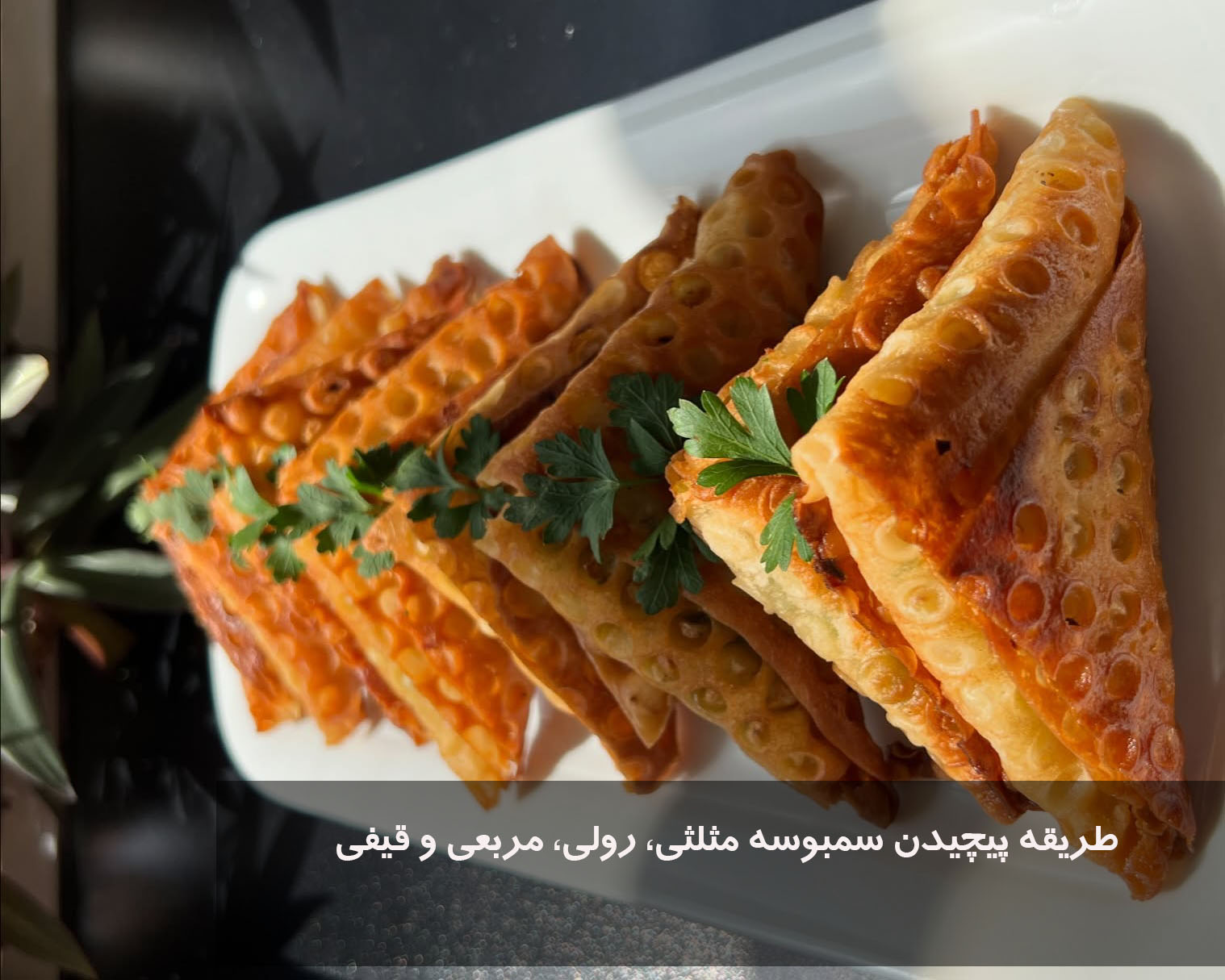 طریقه پیچیدن سمبوسه مثلثی، رولی، مربعی و قیفی