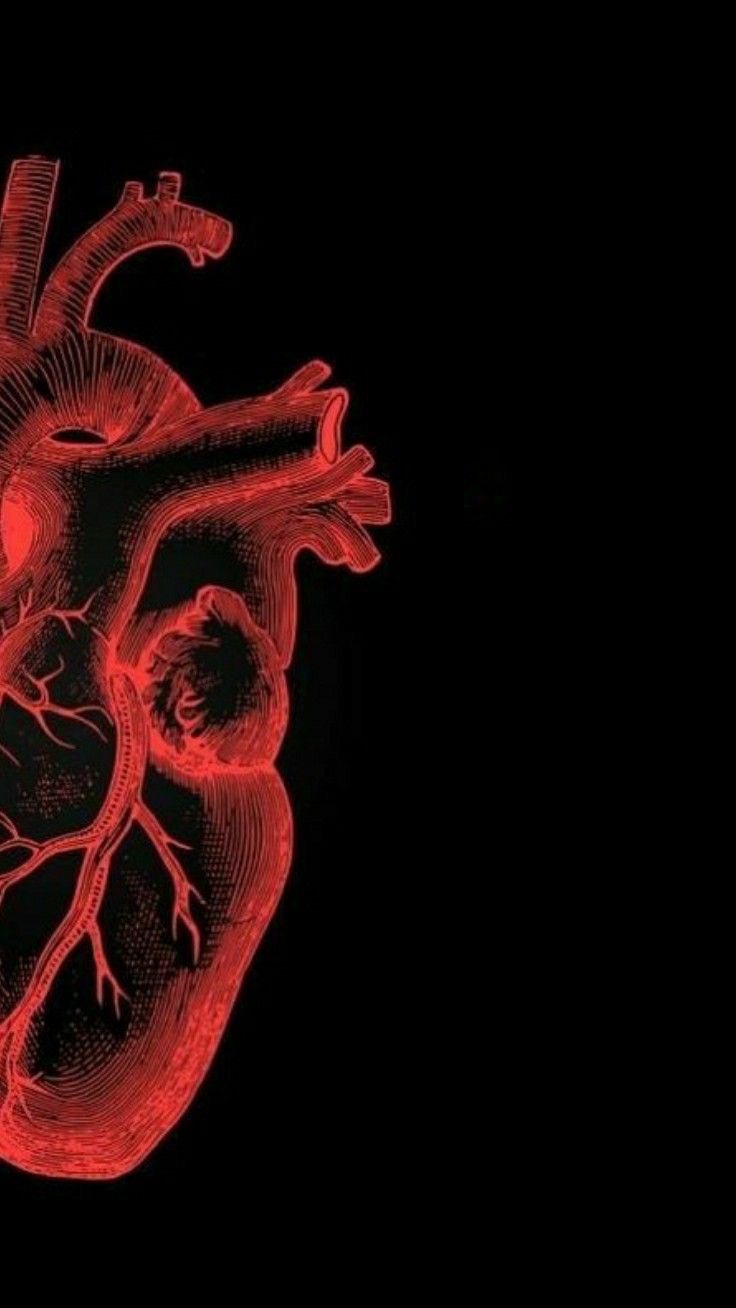 تصویر زمینه ست دوتایی متحرک