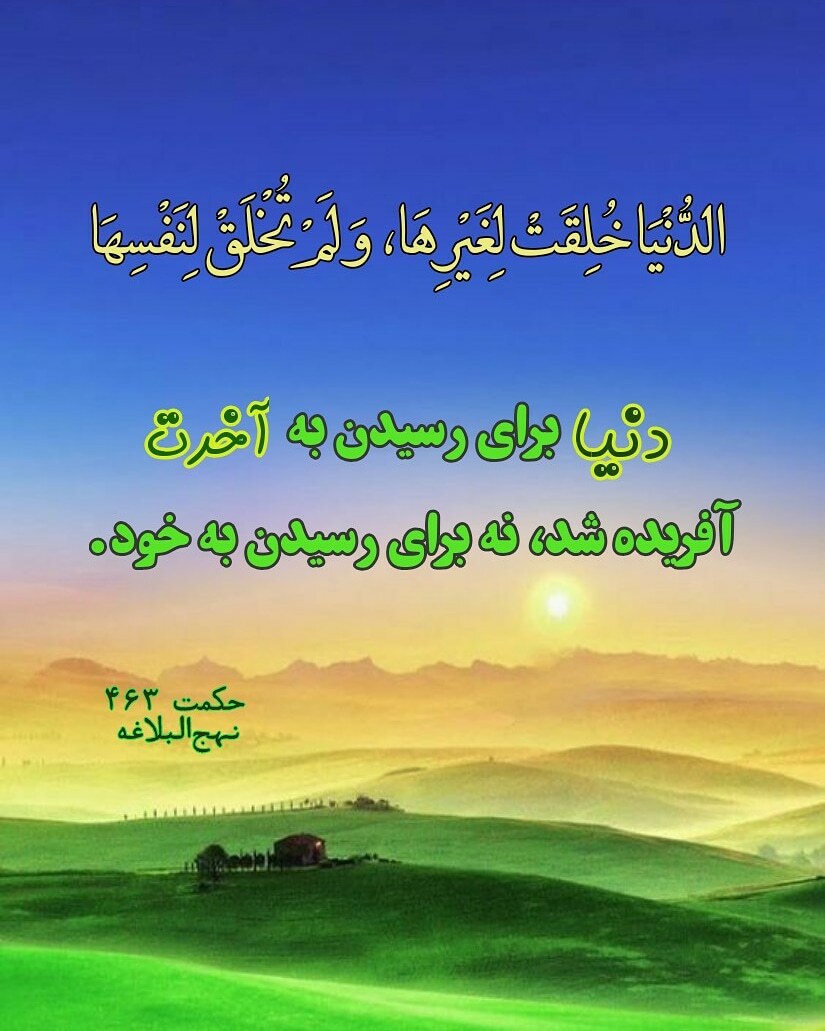 الدنیا خلقت لغیرها و لم تخلق لنفسها» به چه معناست؟
