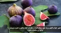 تعبیر خواب انجیر زرد، سبز، سیاه، خشک و تازه از امام صادق و حضرت یوسف برای زن متاهل و مجرد