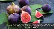 تعبیر خواب انجیر زرد، سبز، سیاه، خشک و تازه از امام صادق و حضرت یوسف برای زن متاهل و مجرد
