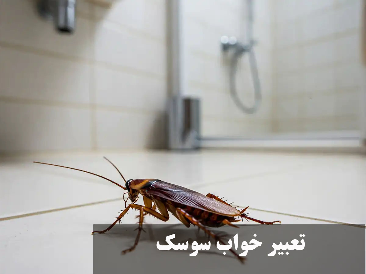 تعبیر خواب سوسک