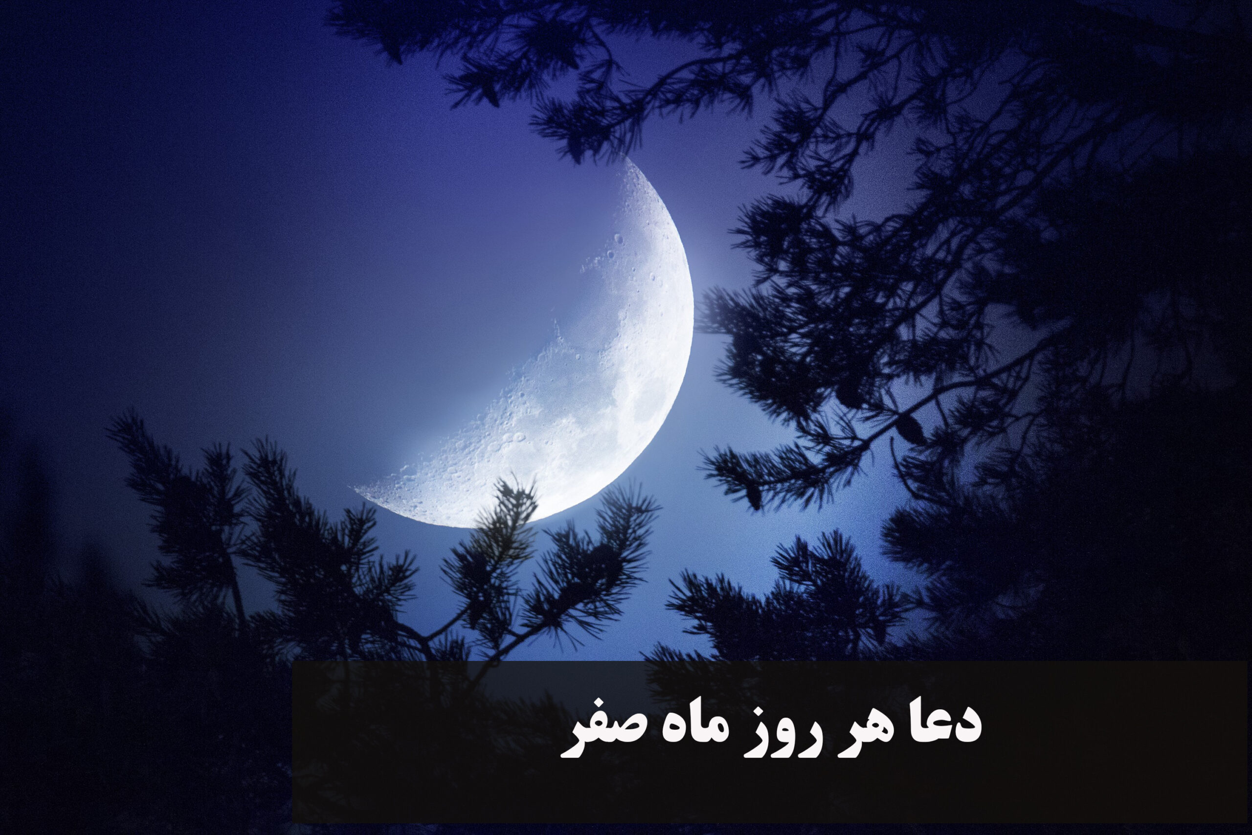 دعا هر روز ماه صفر