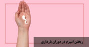 آیا ریختن اسپرم در دوران بارداری ضرر دارد؟ رابطه جنسی در بارداری از ماه اول تا ماه نهم + آیا تحریک شدن در بارداری خطر دارد؟