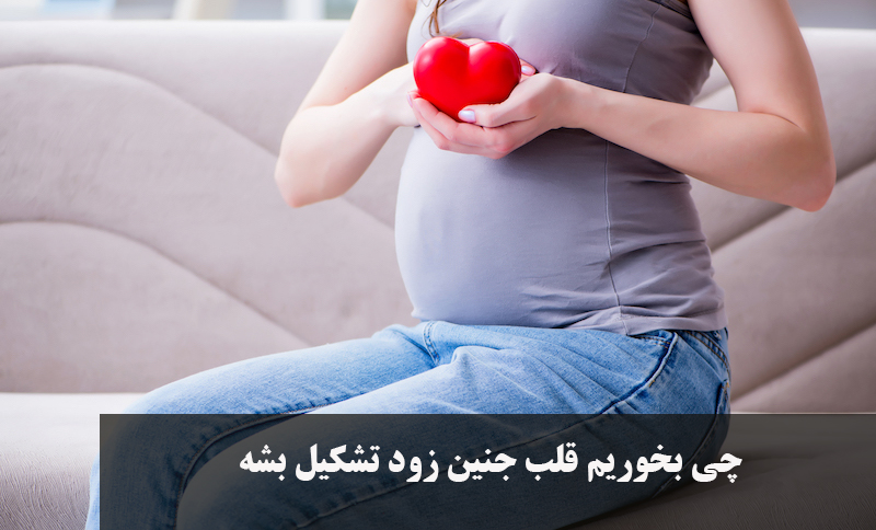 چی بخوریم قلب جنین زود تشکیل بشه 