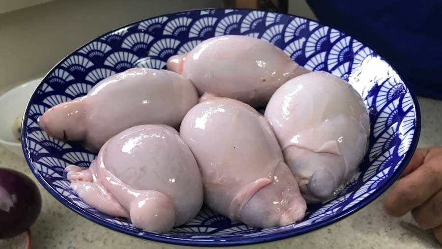 خوردن دنبلان چه حکمی دارد