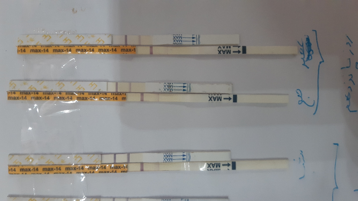 چرا کیت تخمک گذاری همیشه مثبت است؟