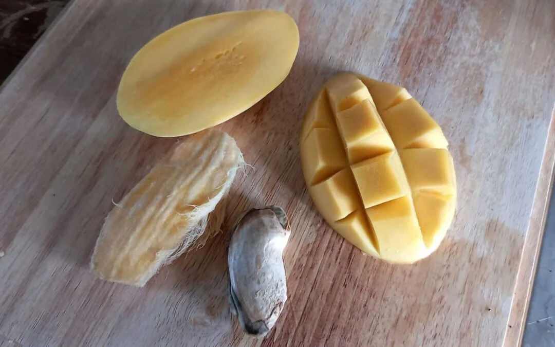 خواص هسته انبه برای رحم