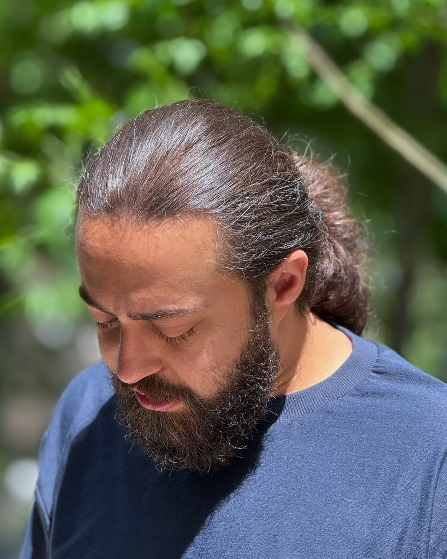 بیوگرافی حمید شریف زاده