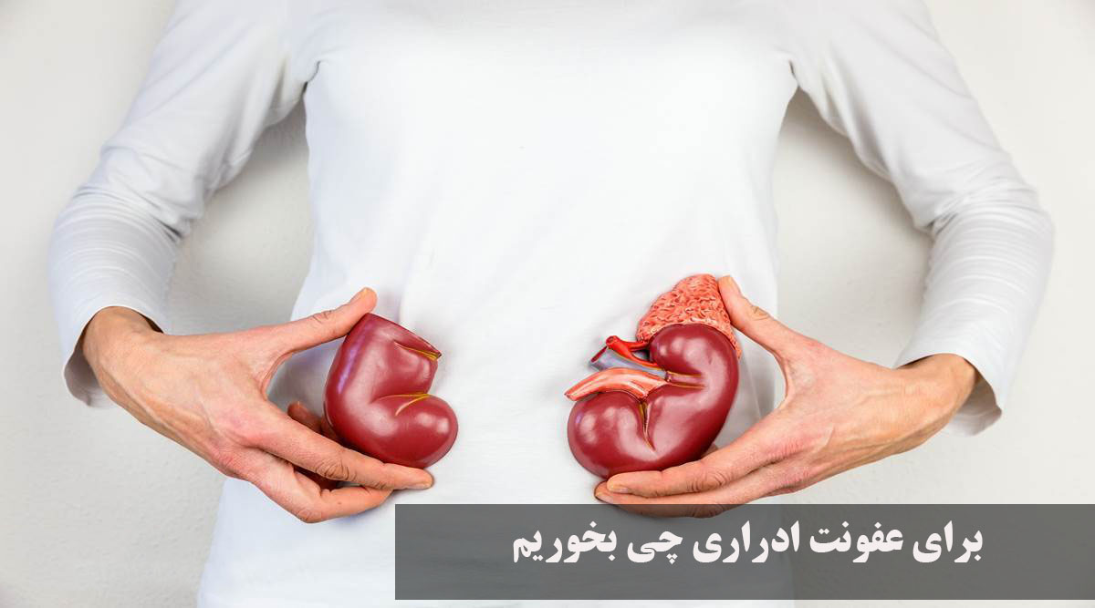 برای عفونت ادراری چی بخوریم | درمان خانگی، طب سنتی، دمنوش، بهترین قرص و قوی ترین آنتی بیوتیک عفونت ادراری زنان و بارداری