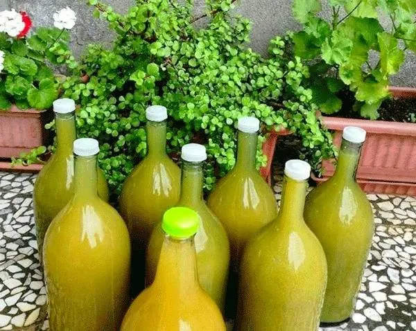 اگر به آبغوره نمک نزنیم چه میشود