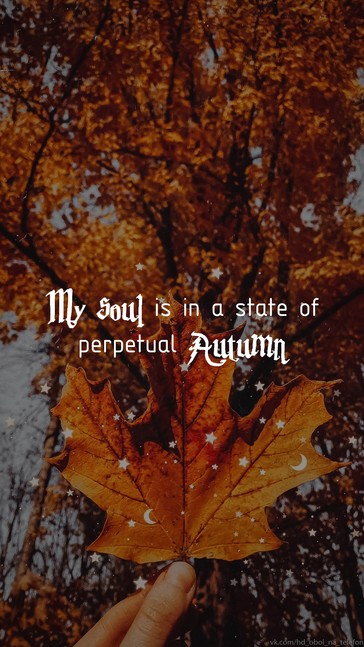 عکس پاییزی برای پروفایل