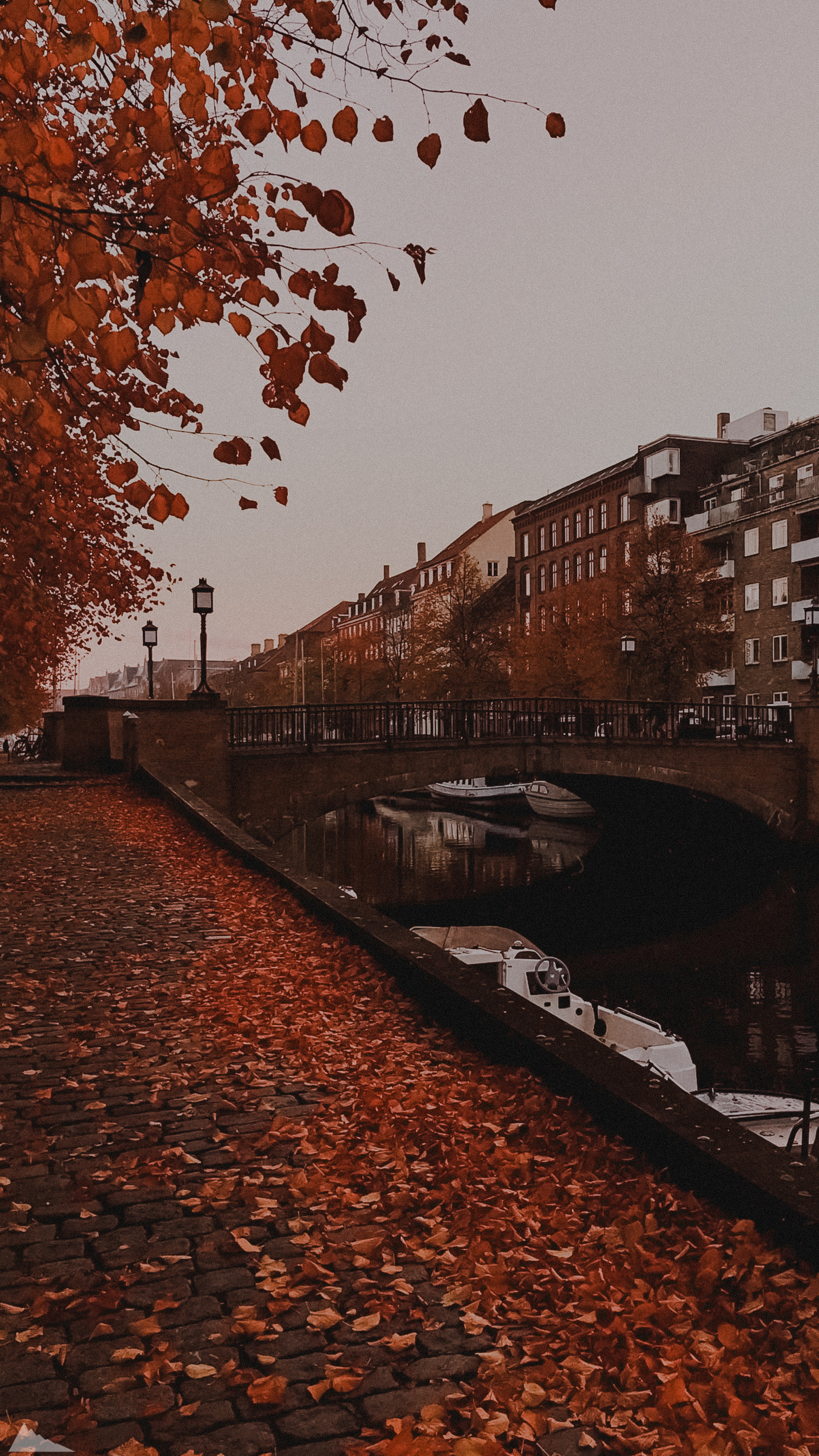 عکس پاییزی برای پروفایل