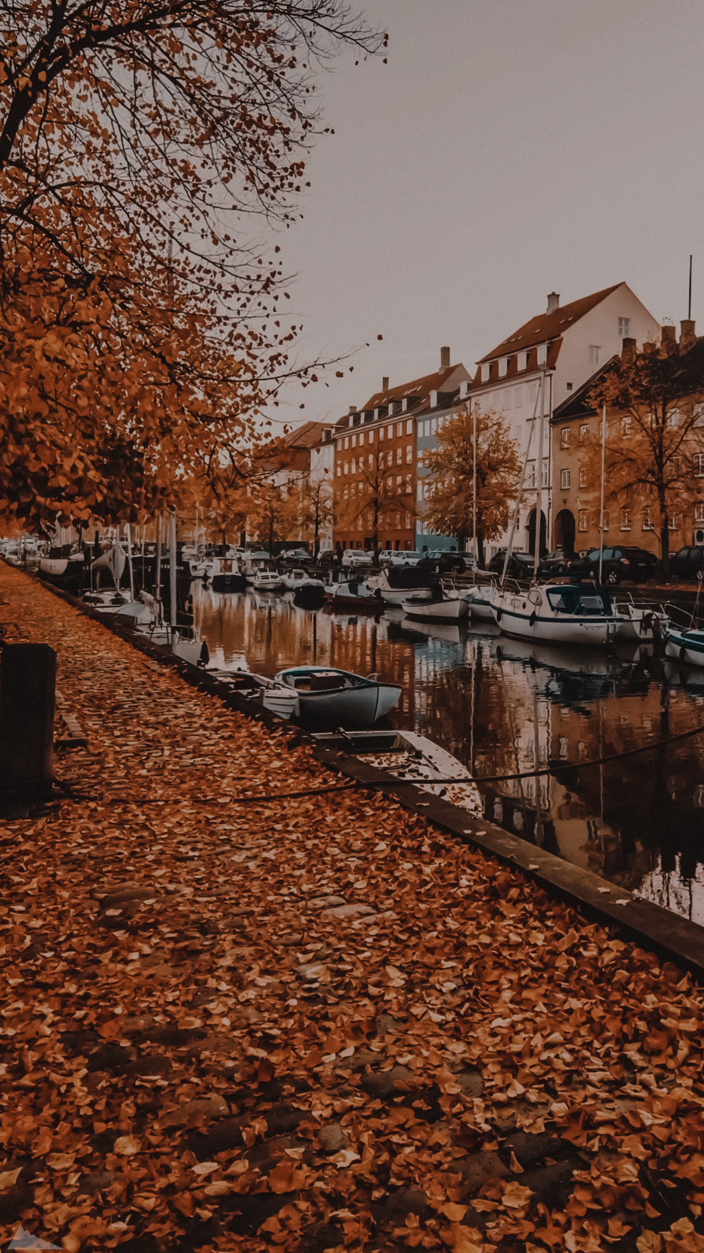 عکس پاییزی برای پروفایل