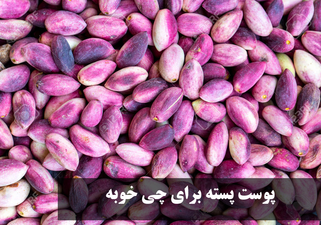 پوست پسته برای چی خوبه؟ خواص پوست پسته؛ از دمنوش و طب سنتی تا فواید برای پوست، مو، اسهال و دام