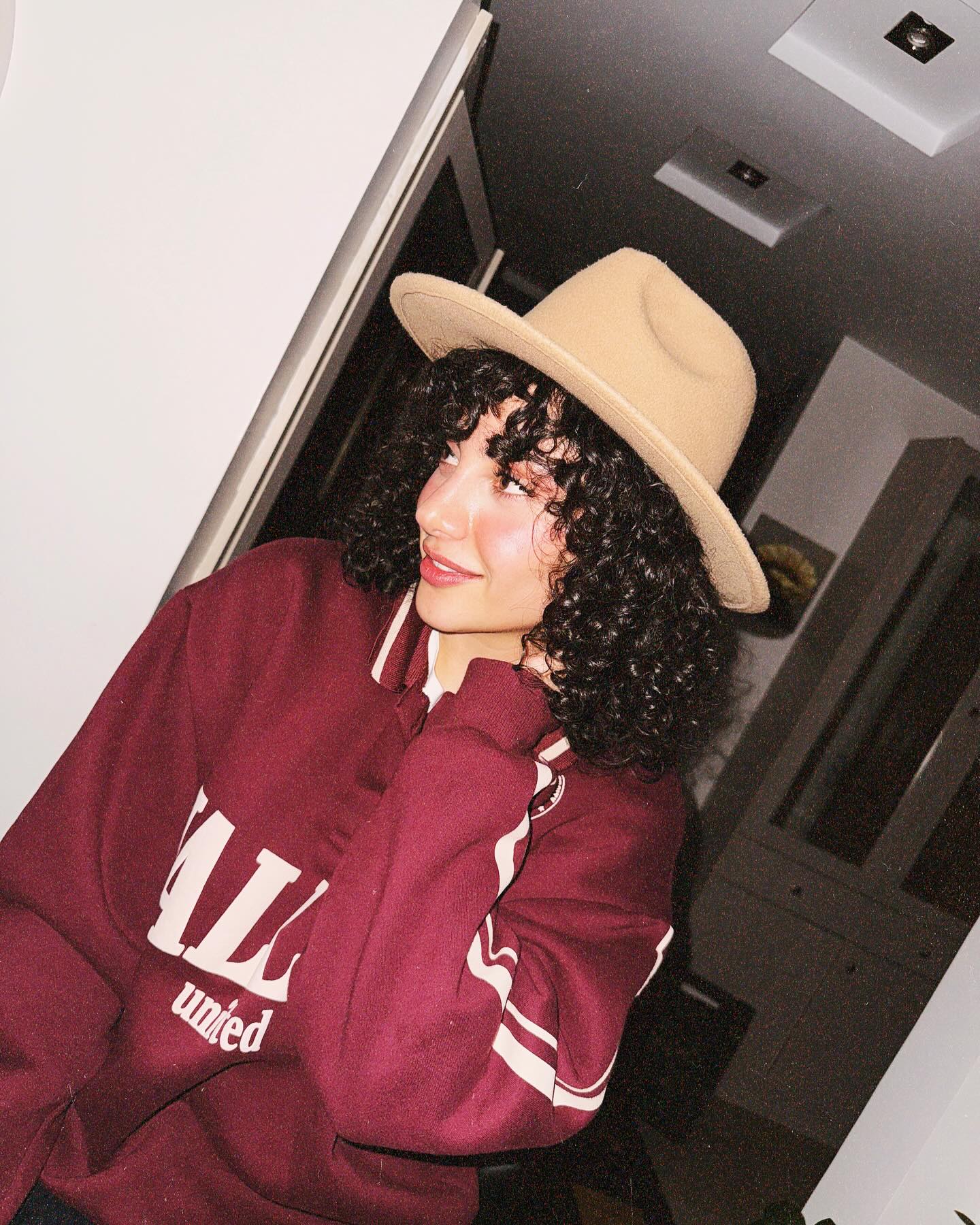 بیوگرافی کامل ترلان پروانه