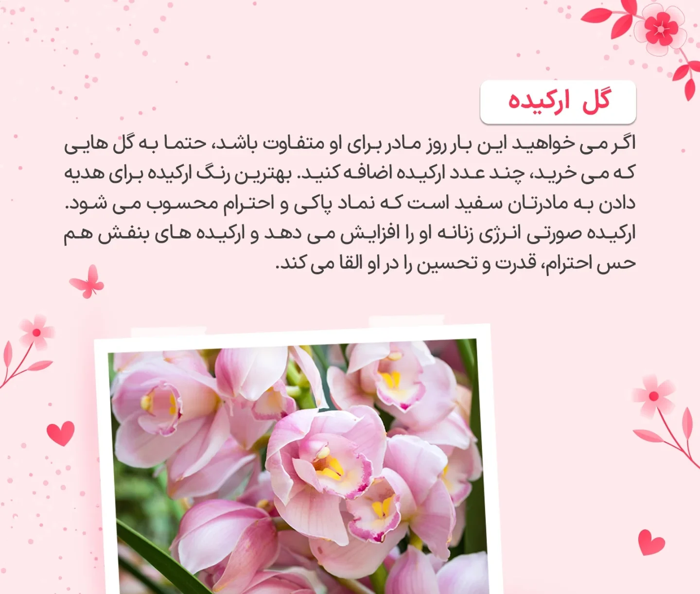 برای روز مادر چه گلی بخریم؟ 