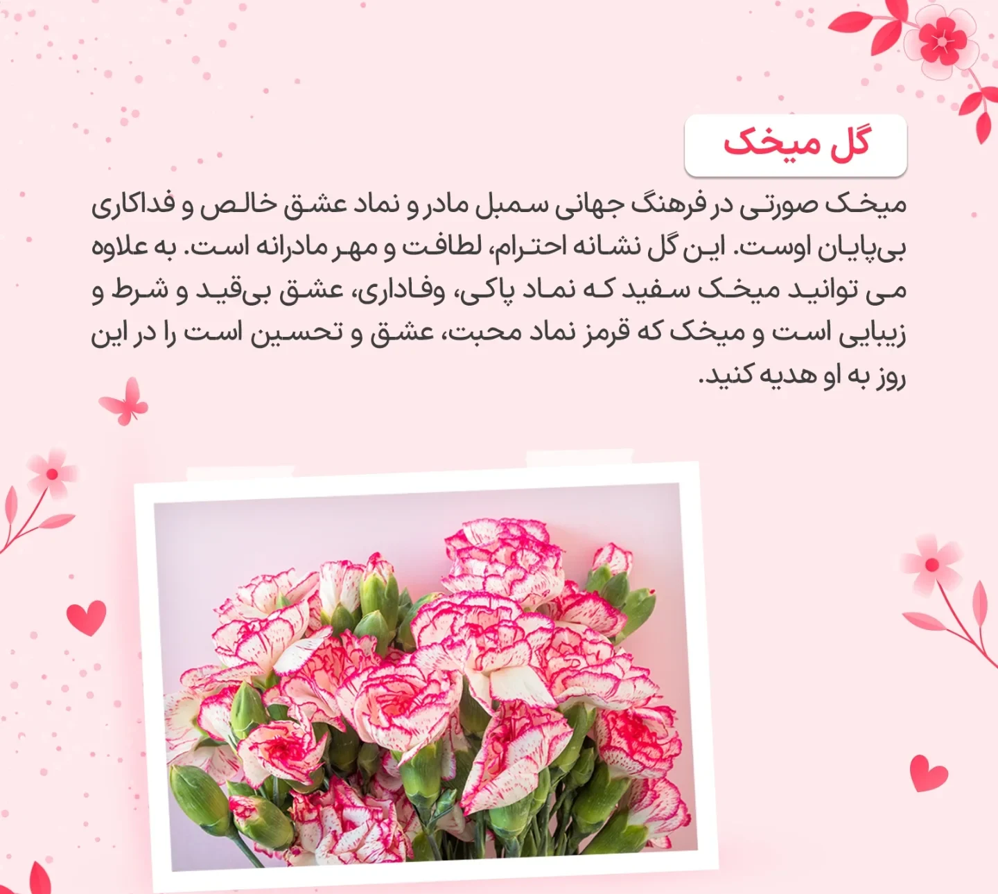 برای روز مادر چه گلی بخریم؟ 