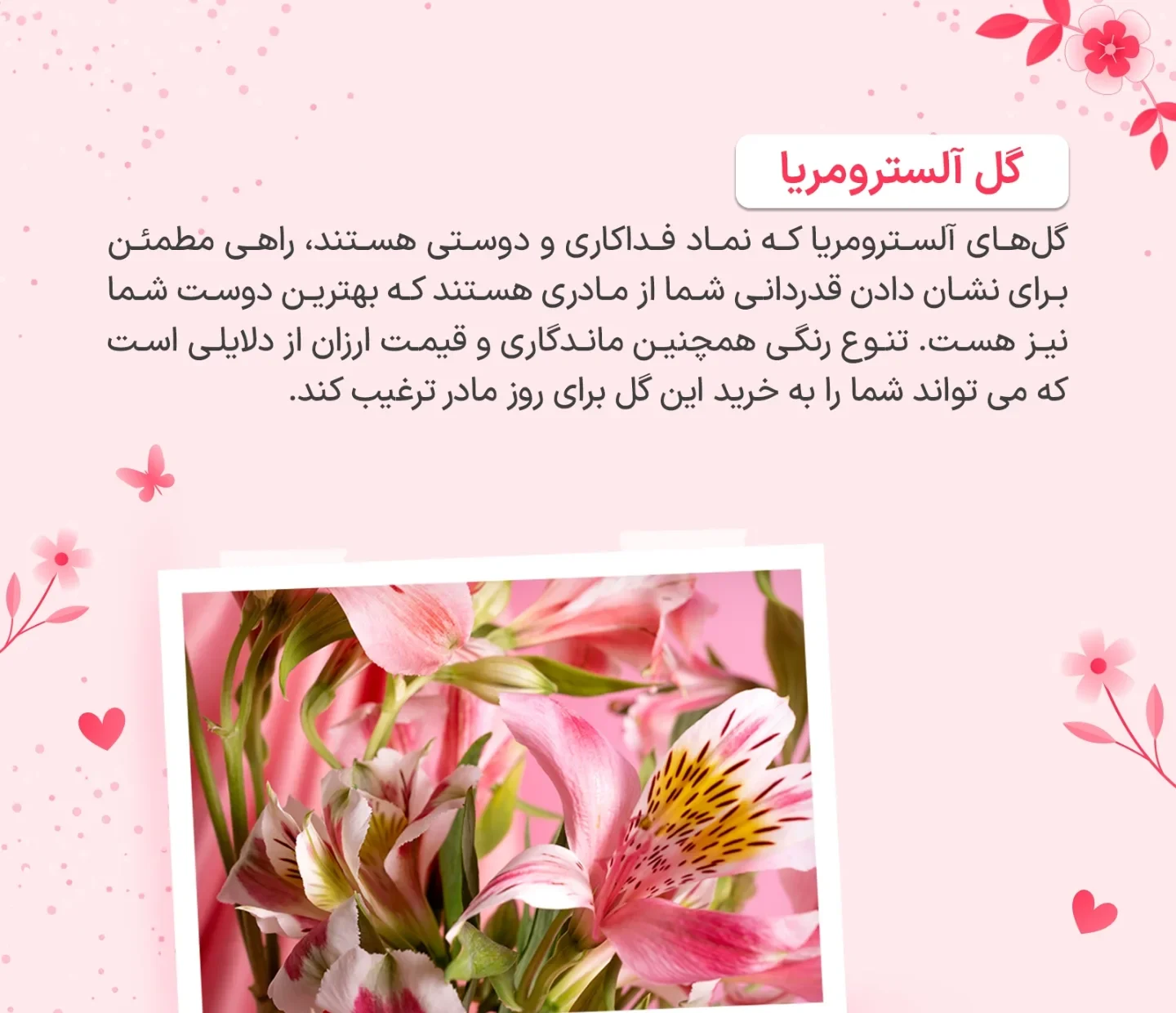 برای روز مادر چه گلی بخریم؟ 