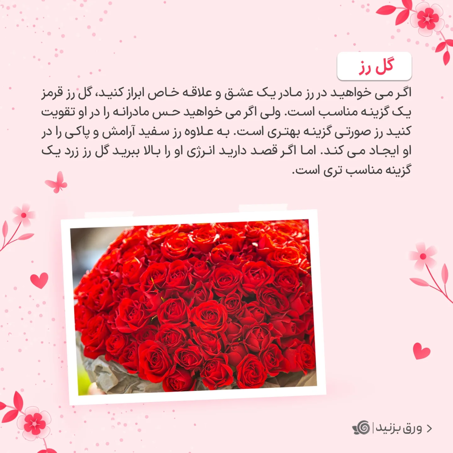 برای روز مادر چه گلی بخریم؟ 