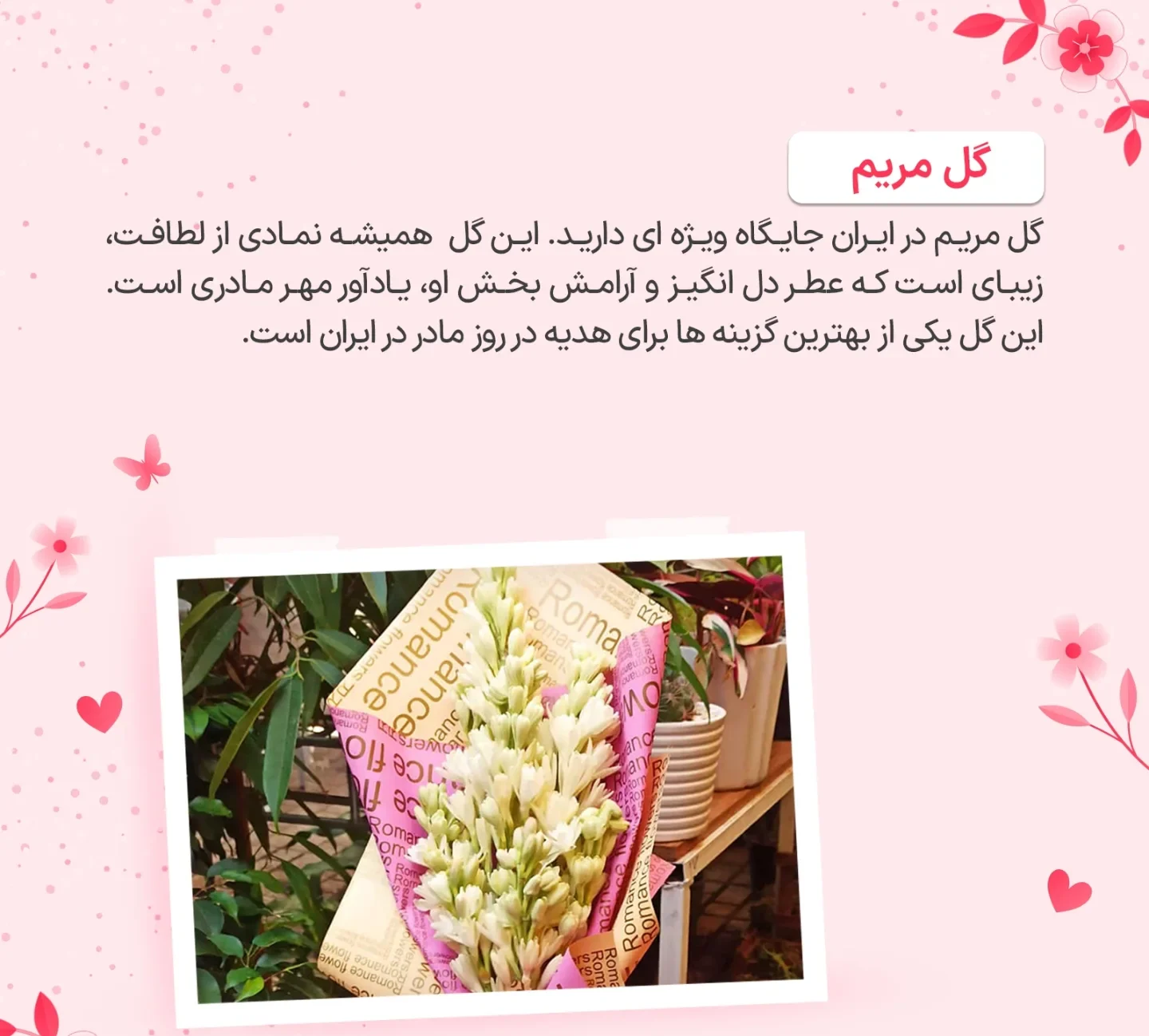 برای روز مادر چه گلی بخریم؟ 