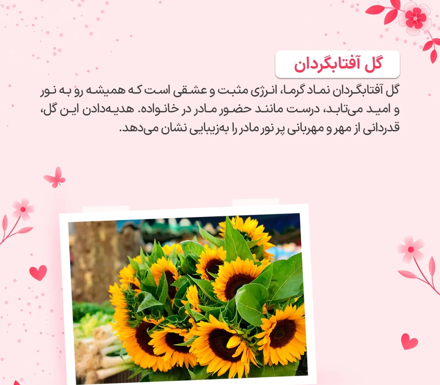 برای روز مادر چه گلی بخریم؟ 