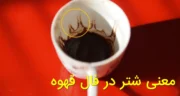 تعبیر شتر در فال قهوه | معنی شتر با بار، شتر نشسته، بچه شتر، لاما و کاروان در فال
