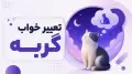 تعبیر خواب گربه: راهنمای کاربردی برای فهم معنای خواب‌ها