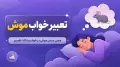 تعبیر خواب موش — معنی دیدن موش در خواب و نکات تفسیر