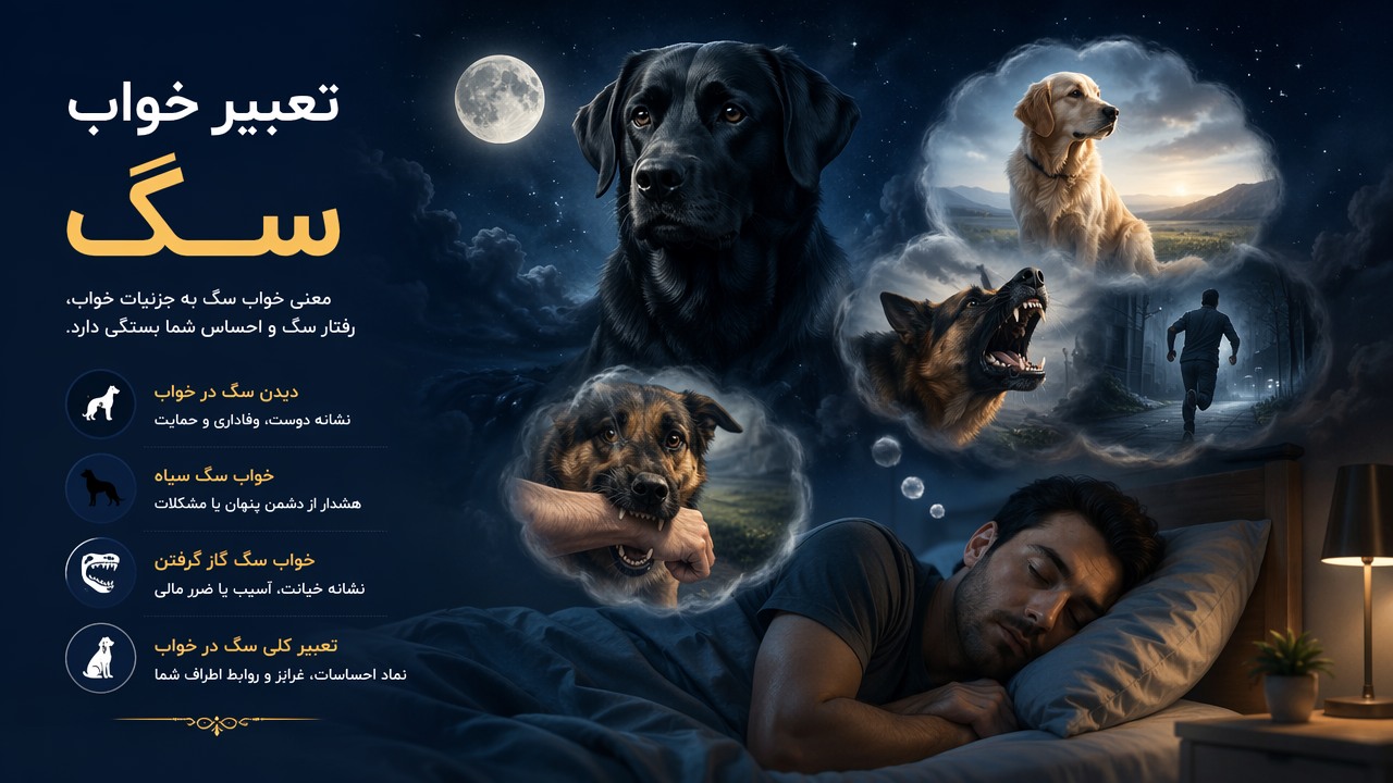 تعبیر خواب سگ, معنی خواب سگ, خواب سگ سیاه, تعبیر سگ در خواب, خواب سگ گاز گرفتن,