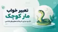 تعبیر خواب مار کوچک؛ از دید سنتی تا برداشت‌های روان‌شناسی