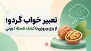 تعبیر خواب گردو؛ از رزق و روزی تا کشف هسته درونی