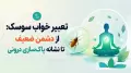 تعبیر خواب سوسک: از دشمن ضعیف تا نشانه پاک‌سازی درونی