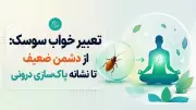 تعبیر خواب سوسک: از دشمن ضعیف تا نشانه پاک‌سازی درونی