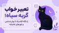 تعبیر خواب گربه سیاه؛ از نگاه کلاسیک تا روان‌شناسی و باورهای عامیانه