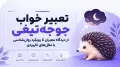 تعبیر خواب جوجه‌تیغی؛ از دیدگاه معبران تا رویکرد روان‌شناسی با مثال‌های کاربردی