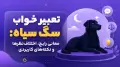 تعبیر خواب سگ سیاه: معانی رایج، اختلاف‌نظرها و نکته‌های کاربردی
