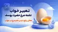 تعبیر خواب تخمه مرغ حضرت یوسف | معانی رایج دیدن تخم‌مرغ در خواب