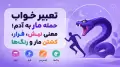 تعبیر خواب حمله مار به آدم؛ معنی نیش، فرار، کشتن مار و رنگ‌ها