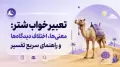 تعبیر خواب شتر: معنی‌ها، اختلاف دیدگاه‌ها و راهنمای سریع تفسیر