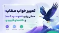 تعبیر خواب عقاب: معانی رایج، تفاوت دیدگاه‌ها و نکته‌های کاربردی
