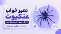 تعبیر خواب عنکبوت؛ از نگاه سنتی تا روان‌شناختی (راهنمای کامل و کاربردی)
