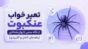 تعبیر خواب عنکبوت؛ از نگاه سنتی تا روان‌شناختی (راهنمای کامل و کاربردی)