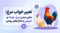 تعبیر خواب مرغ: معنی دیدن مرغ، جوجه و خروس با مثال‌های روشن